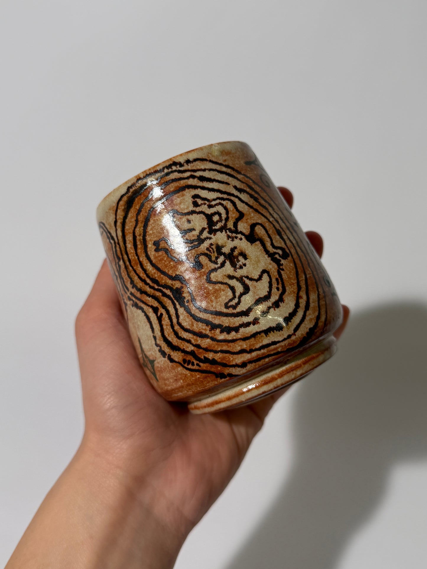 a dog chasing its tail